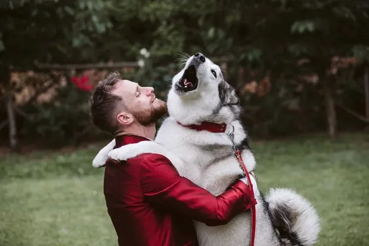 Sposo in abito rosso tiene in braccio un cane husky nel giardino