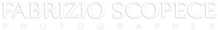 logo FS mobile